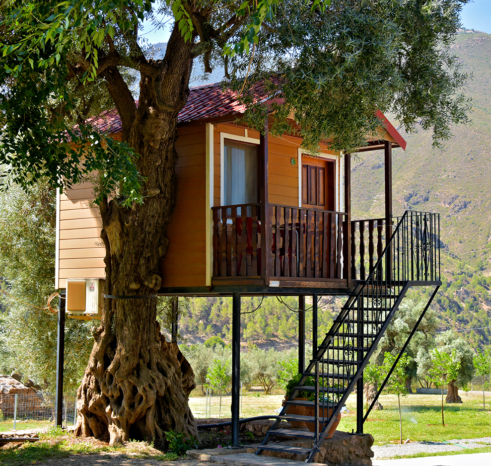 CAMPING ORGIVA CABAÑA DEL ARBOL