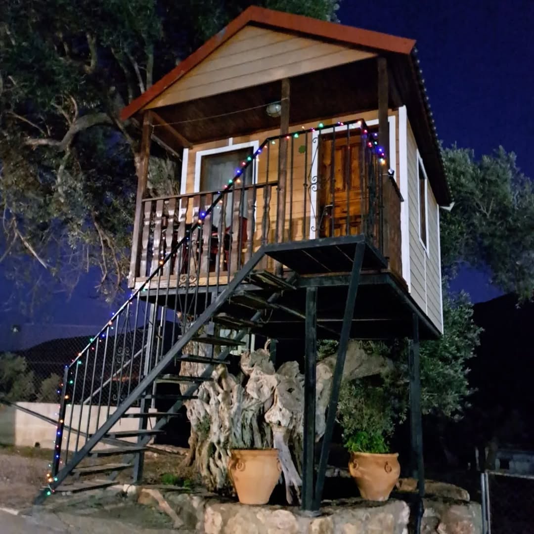 Cabaña 8